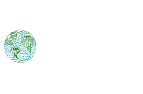 https://www.pedalaheadsd.org/wp-content/uploads/2021/01/Hammond.png